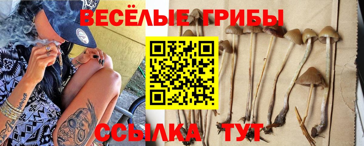 Лянтор  Канабис  Вход с VPN  Меф МЯУ МЯУ  НБОМе  ГАШ  Вейп ТГК  Кокаин  А ПВП СК   Меф кристаллы 