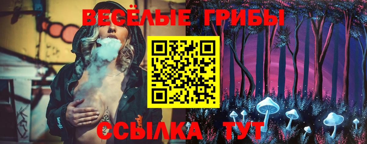Псилоцибиновые грибы GOLDEN TEACHER Лянтор